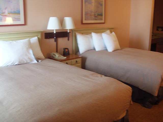 Homewood Suites By Hilton St. Petersburg Clearwater Kamer foto