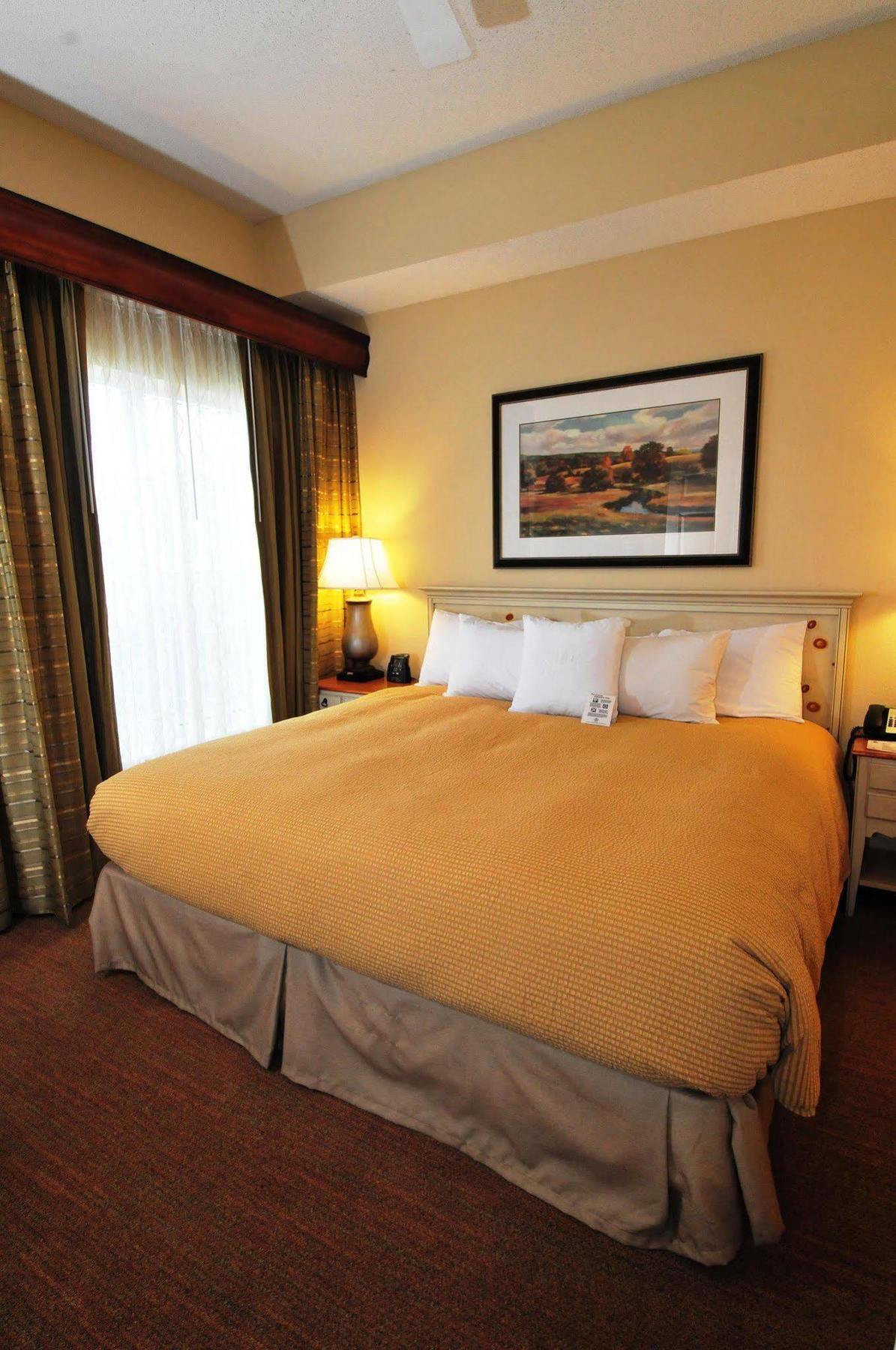 Homewood Suites By Hilton St. Petersburg Clearwater Kamer foto
